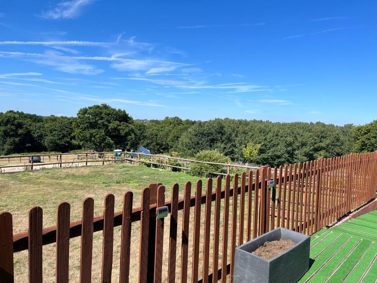 Oak Valley Lodges & Camping Pett Ngoại thất bức ảnh